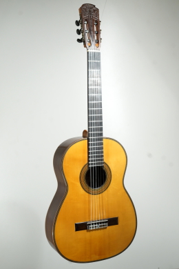 Simplicio Modell Michael Wichmann Gitarrenbau Hamburg