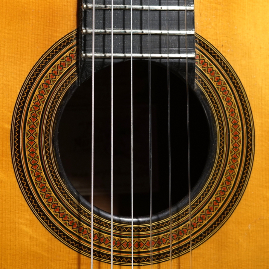 Simplicio Modell Michael Wichmann Gitarrenbau Hamburg