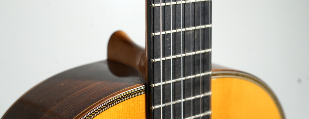 Simplicio Modell Michael Wichmann Gitarrenbau Hamburg