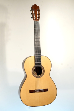 Hauser Modell Michael Wichmann Gitarrenbau Hamburg