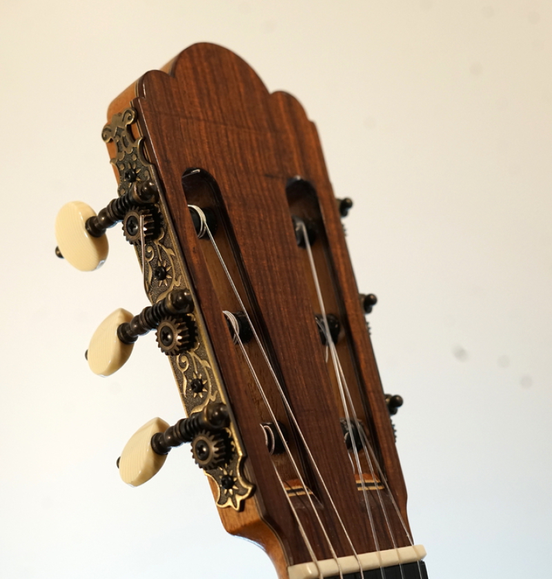 Hauser Modell Michael Wichmann Gitarrenbau Hamburg