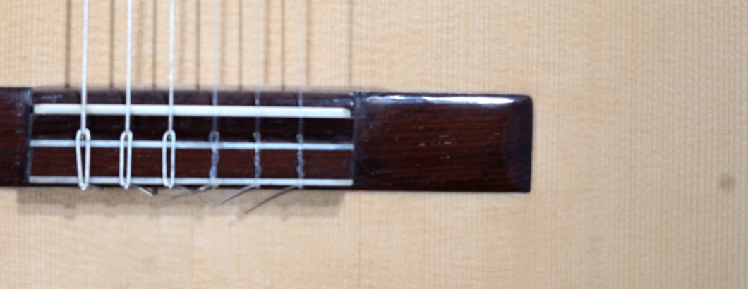 Hauser Modell Michael Wichmann Gitarrenbau Hamburg