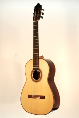 Fuerte 2 Michael Wichmann Gitarrenbau Hamburg