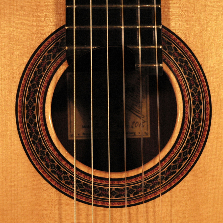 Fuerte 2 Michael Wichmann Gitarrenbau Hamburg