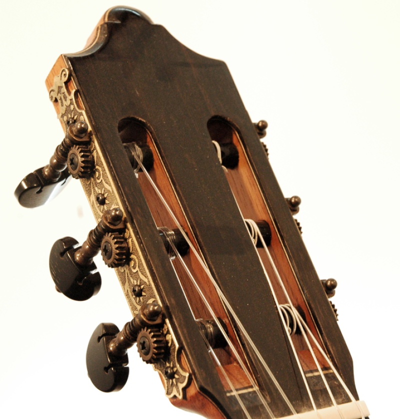 Fuerte 2 Michael Wichmann Gitarrenbau Hamburg