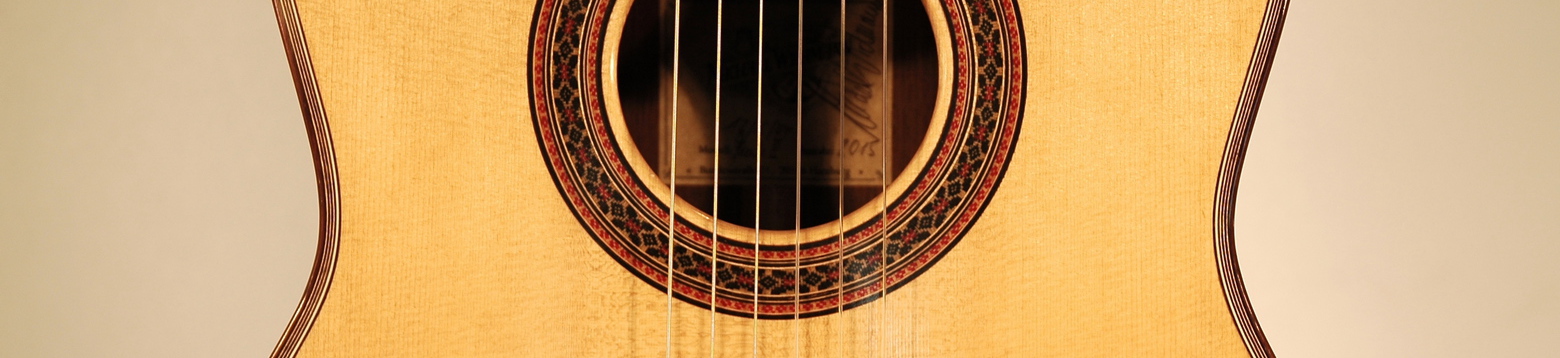 Fuerte 2 Michael Wichmann Gitarrenbau Hamburg