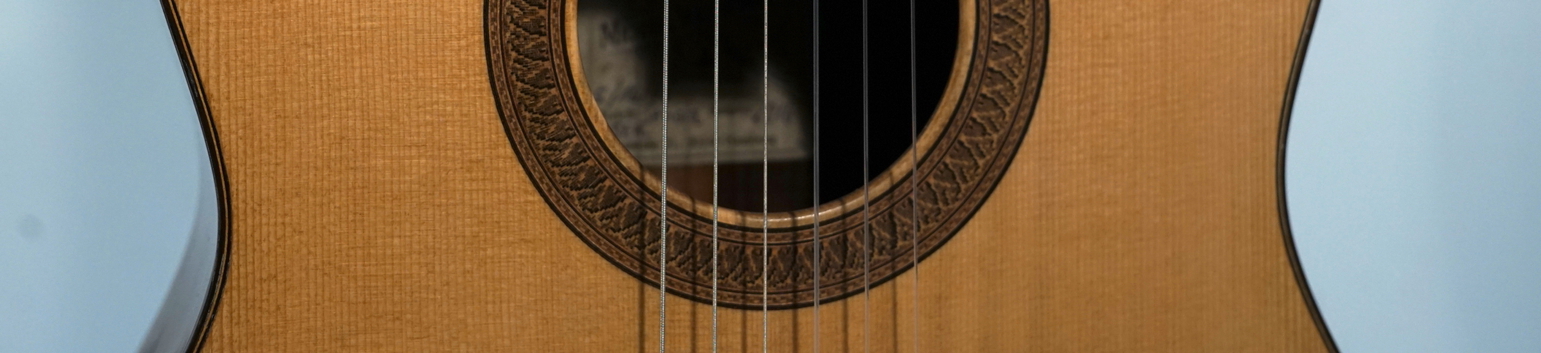 St. Hernandez Modell Michael Wichmann Gitarrenbau Hamburg