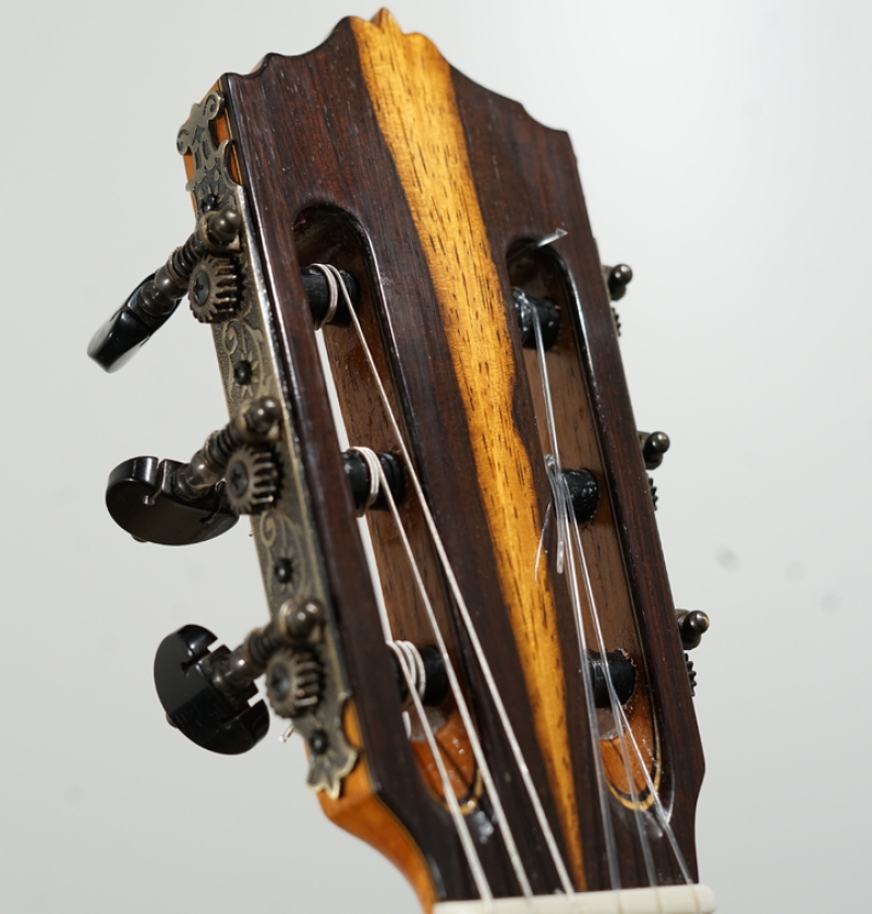 Estesso Modell Michael Wichmann Gitarrenbau Hamburg