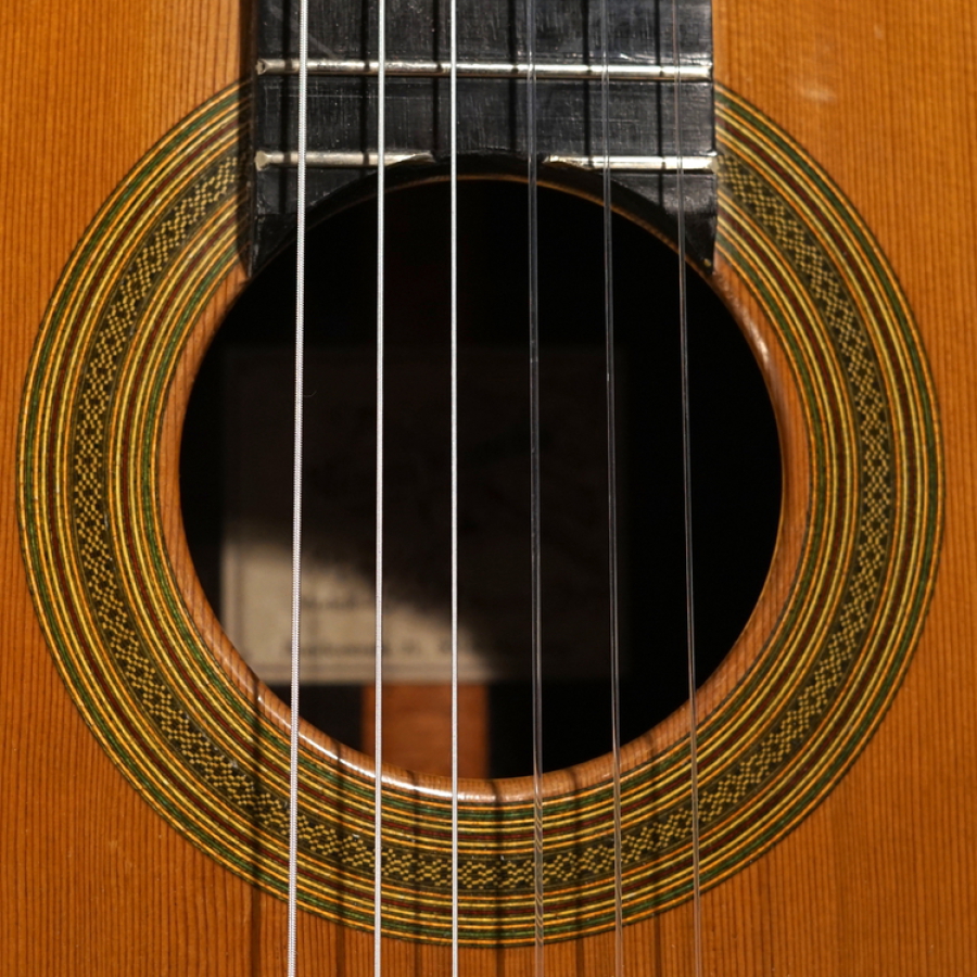 Friedrich Modell Michael Wichmann Gitarrenbau Hamburg