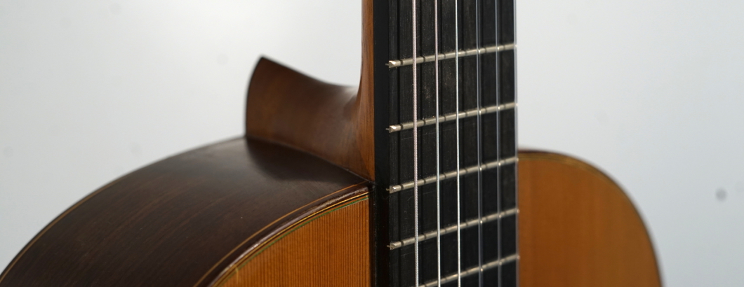 Friedrich Modell Michael Wichmann Gitarrenbau Hamburg