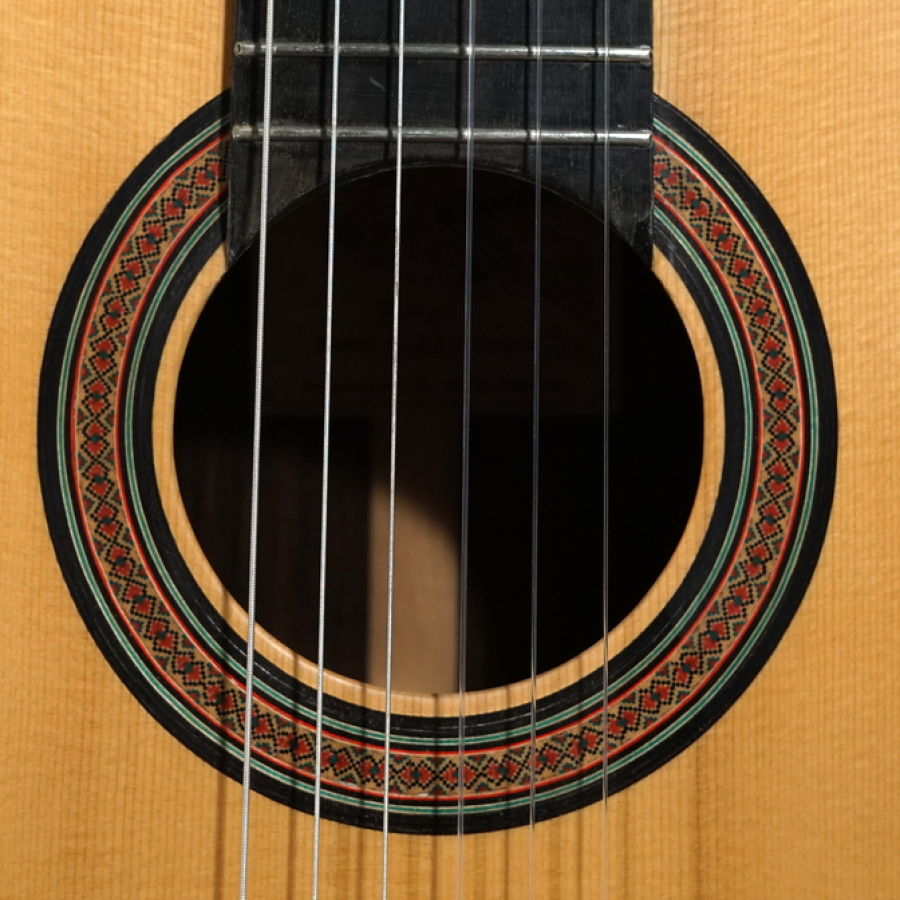 Torres Modell Michael Wichmann Gitarrenbau Hamburg