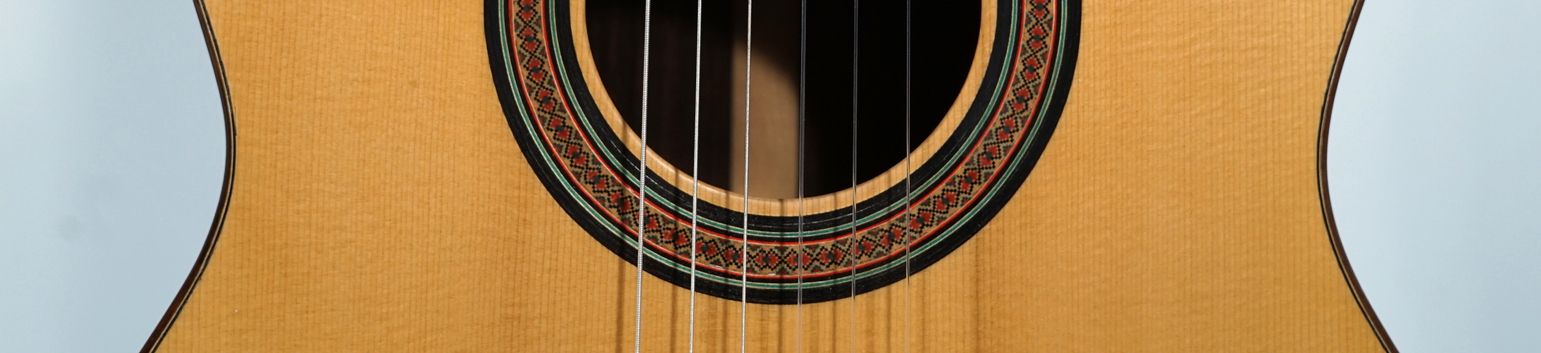 Torres Modell Michael Wichmann Gitarrenbau Hamburg